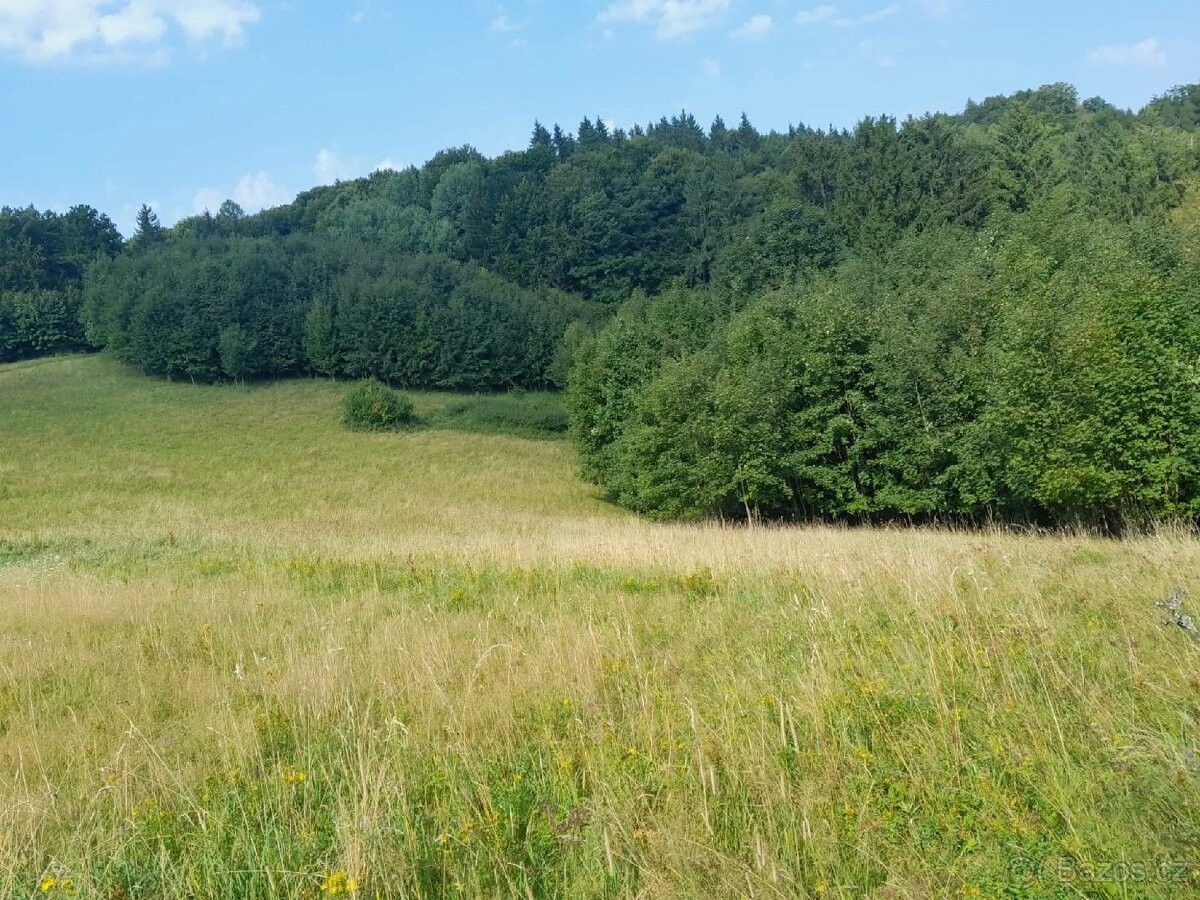 Pozemek pro bydlení · Nový Hrozenkov, 756 04 - 4