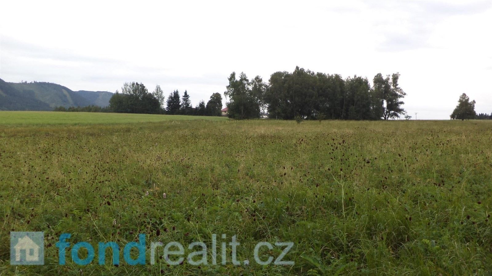 Prodej zemědělský pozemek - Královec, 6 774 m²