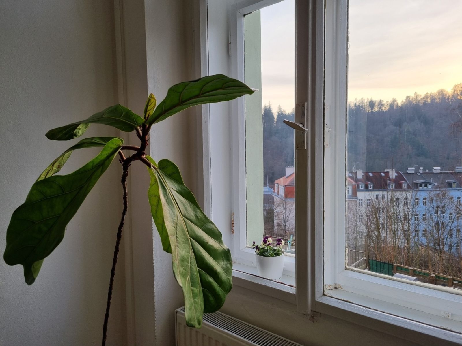 2+1, Nebozízek, Karlovy Vary - Karlovy Vary, Karlovarský kraj, 62 m²