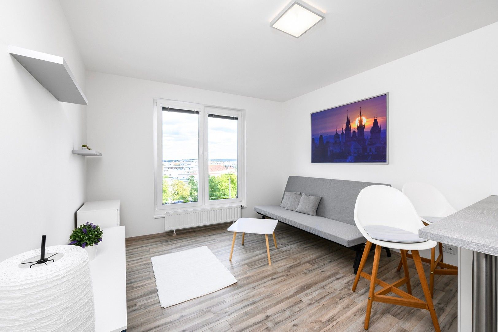 1+kk, Nemocniční, Plzeň, 29 m²