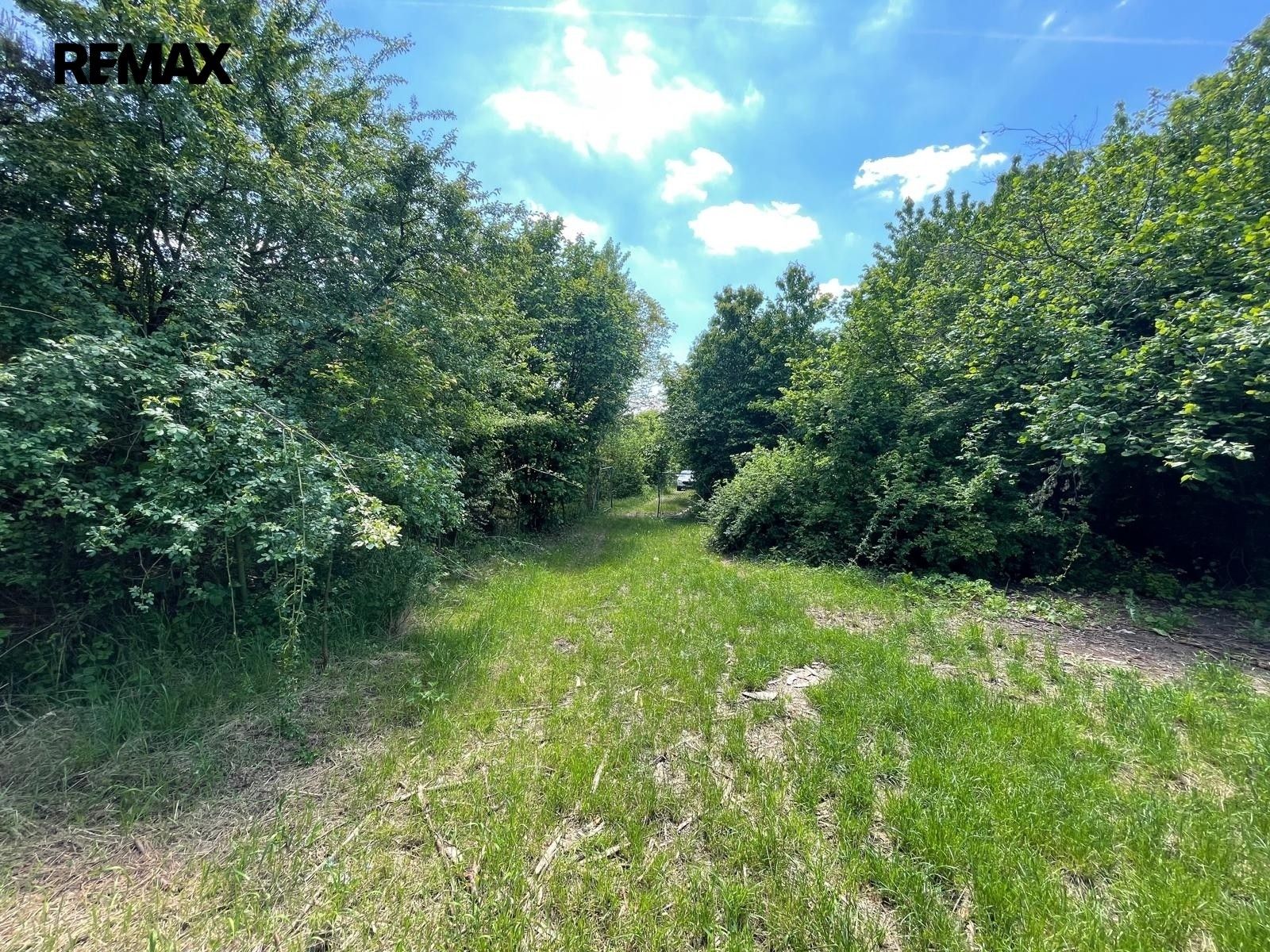 Zahrada · 2 982 m² · Lipník nad Bečvou - 4
