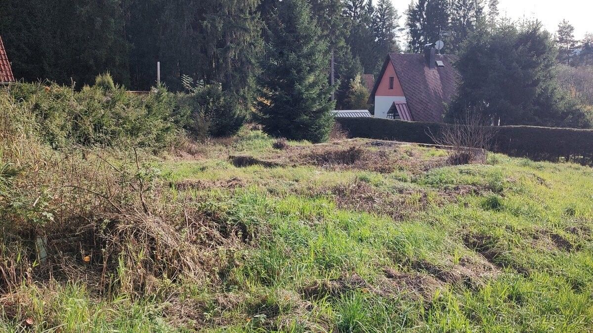 Prodej pozemek pro bydlení - Frymburk, 382 79