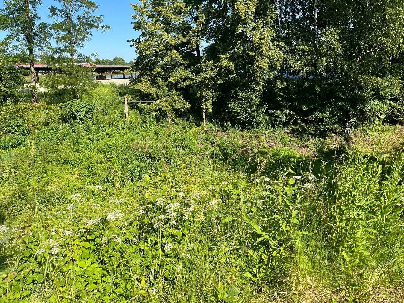 Prodej pozemek pro bydlení - Orlová, okres Karviná - 5