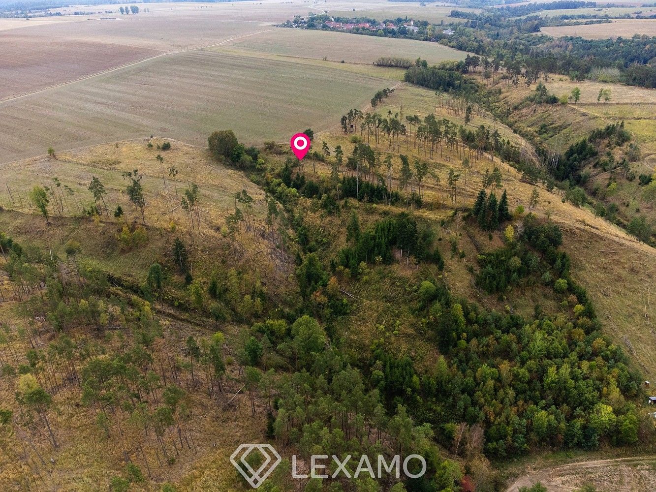 Les · Vladislav - Střížov, okres Třebíč, Kraj Vysočina - 3