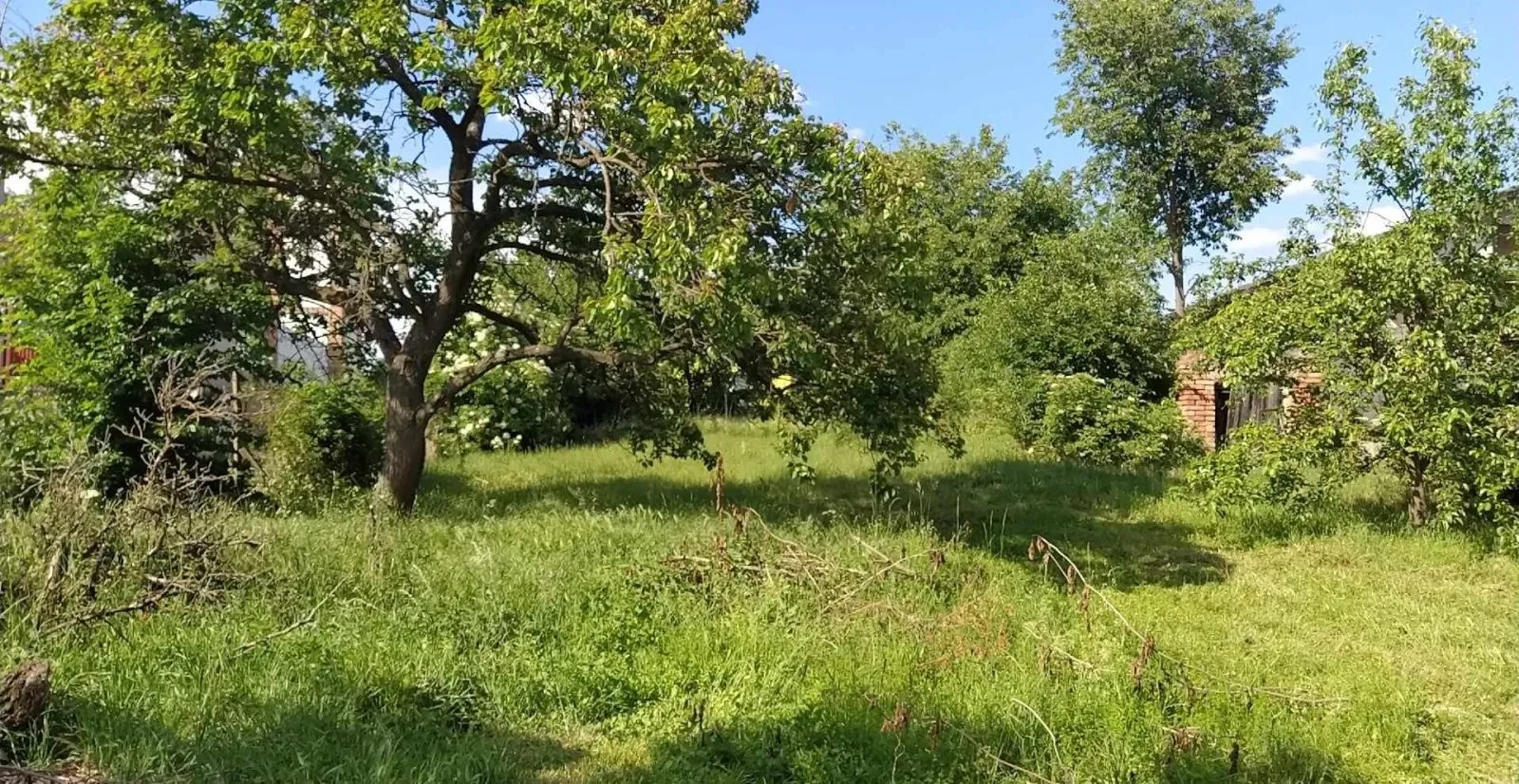 Ostatní