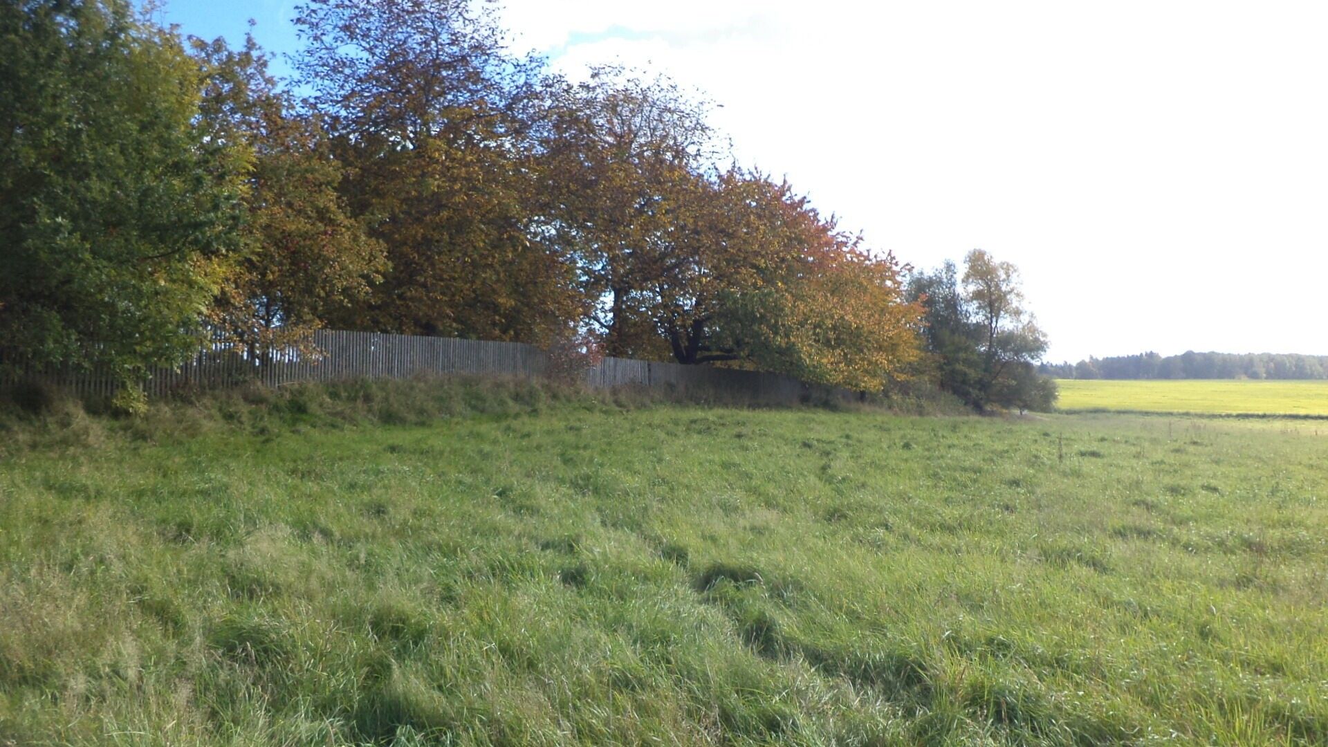 Zemědělské pozemky, Habartice, 357 m²