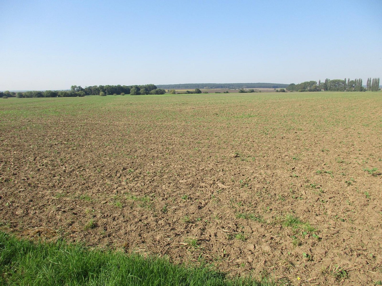 Zemědělský pozemek · Obecnice, okres Příbram - 4