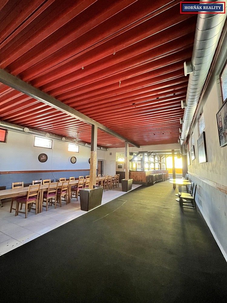 Restaurace, Nádražní, Bučovice, okres Vyškov, 207 m² - 1
