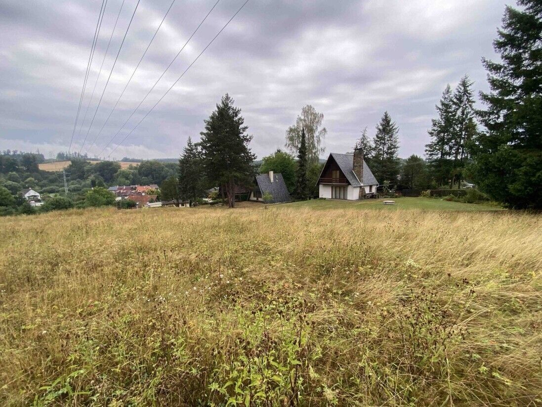 Louka · 1 160 m² · Brumovice Úblo - 3