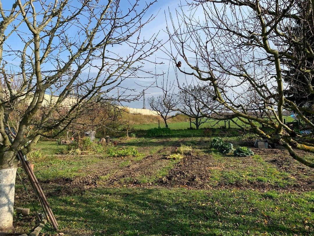 Zahrady, Pardubice, 530 02