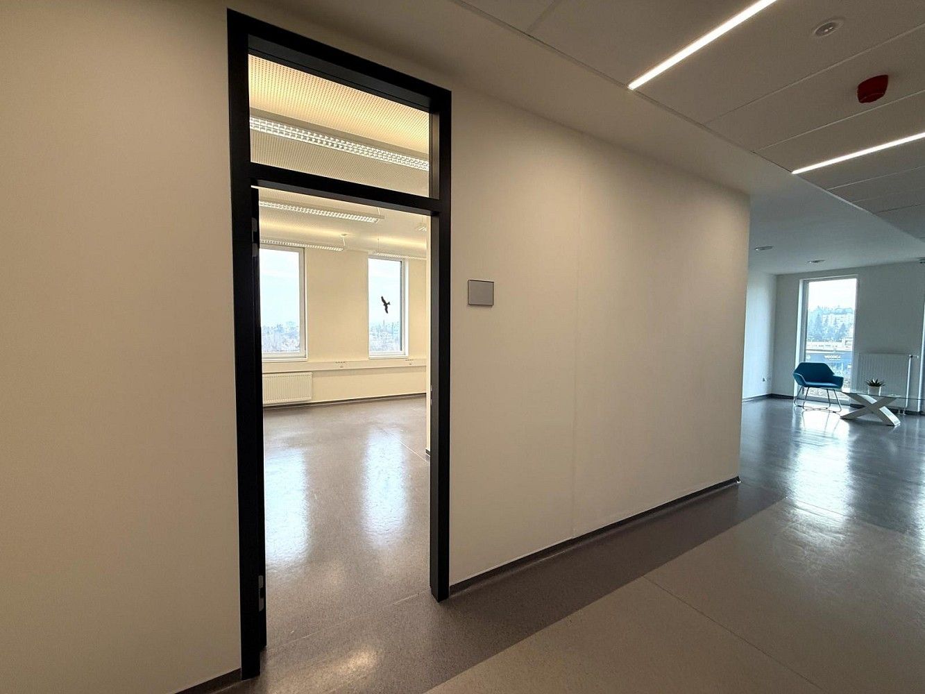 Kancelář · 18 m² · Brno - Štýřice, okres Brno-město, Jihomoravský kraj - 3