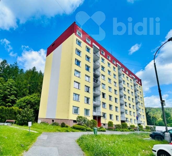 Prodej byt 2+1 - Krátká, Desná, 67 m²