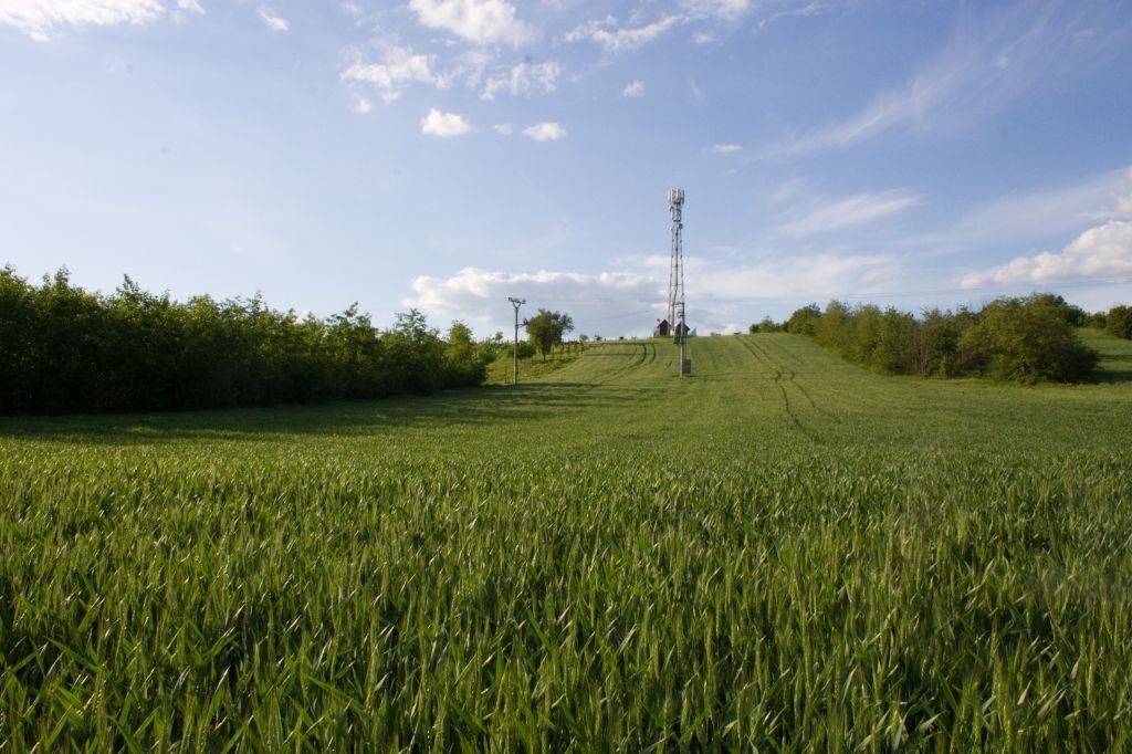 Prodej zahrada - Měnín, 2 706 m²