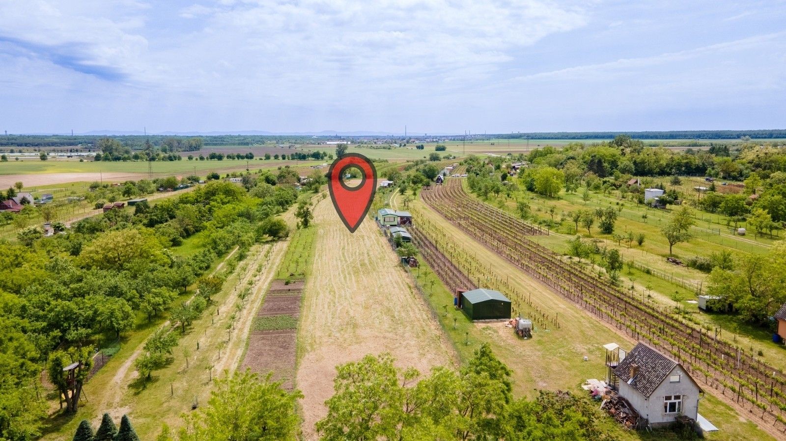 Zahrady, Břeclav, 433 m² - 2