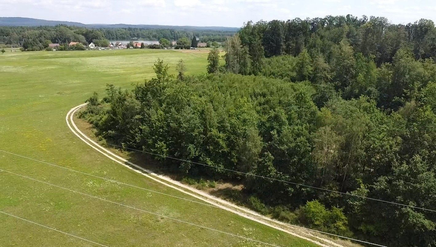 Zemědělský pozemek · 130 000 m² · Chlum u Třeboně Žíteč - 4