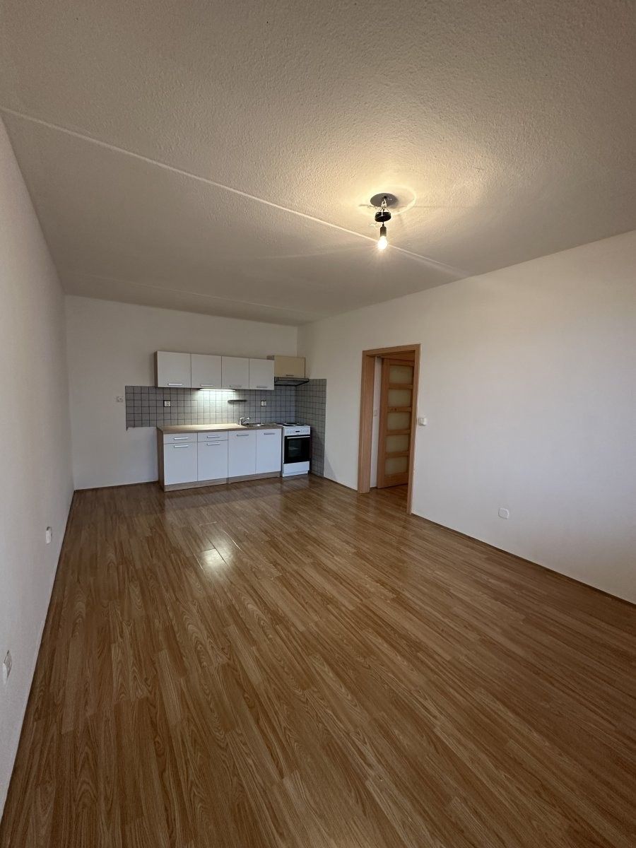 2+kk, Dlouhá, České Budějovice, 42 m²