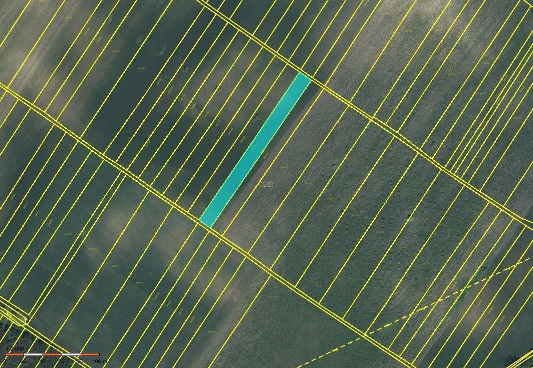 Zemědělské pozemky, Hrušky