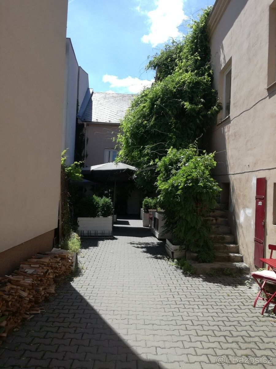 Obchodní prostory, Prostějov, 796 01 - 1
