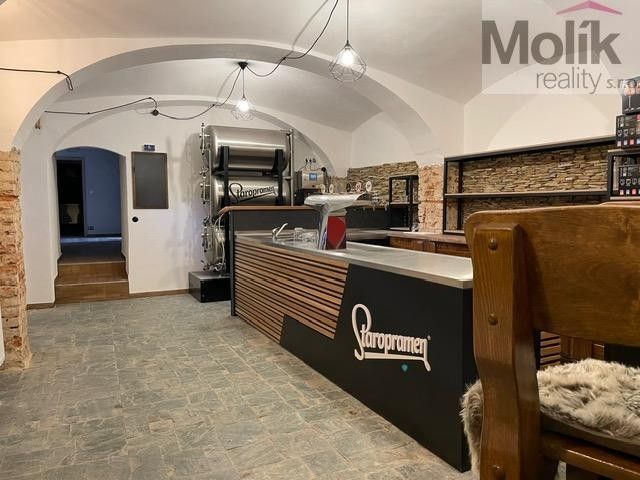 Restaurace · 686 m² · Bílinská, Bílina - 4
