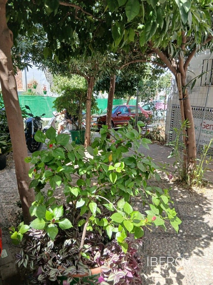 Prodej rodinný dům - Estepona, ES, 52 m² - 5