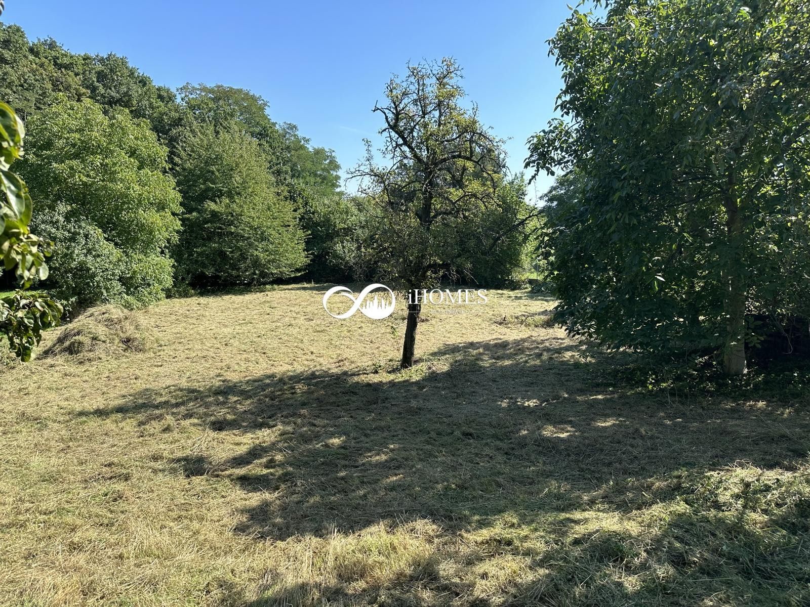 Pronájem zahrada - Bohdanečská, Praha, 1 944 m²