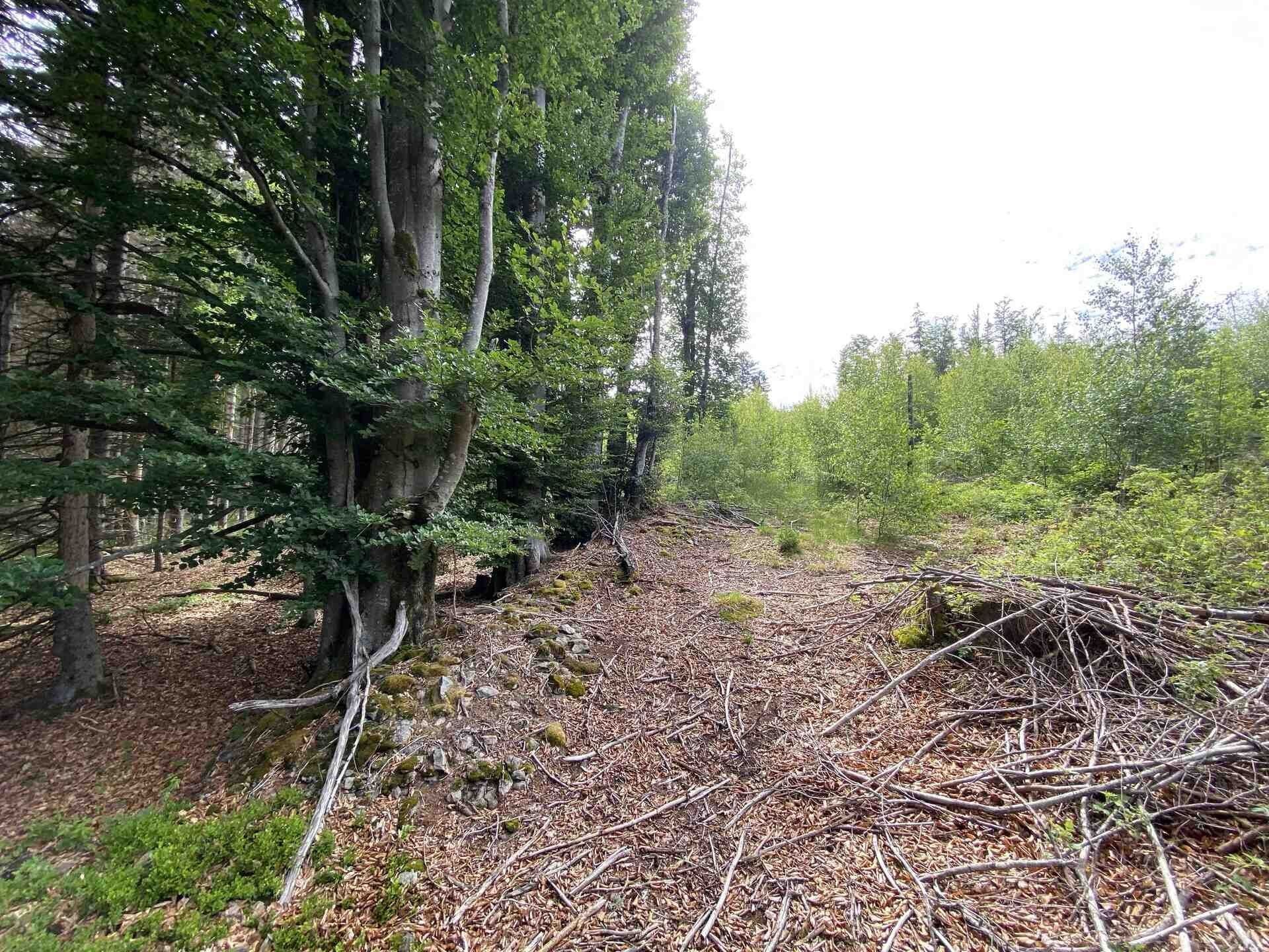 Prodej pozemek - Železná Ruda, 3 072 m² - 5