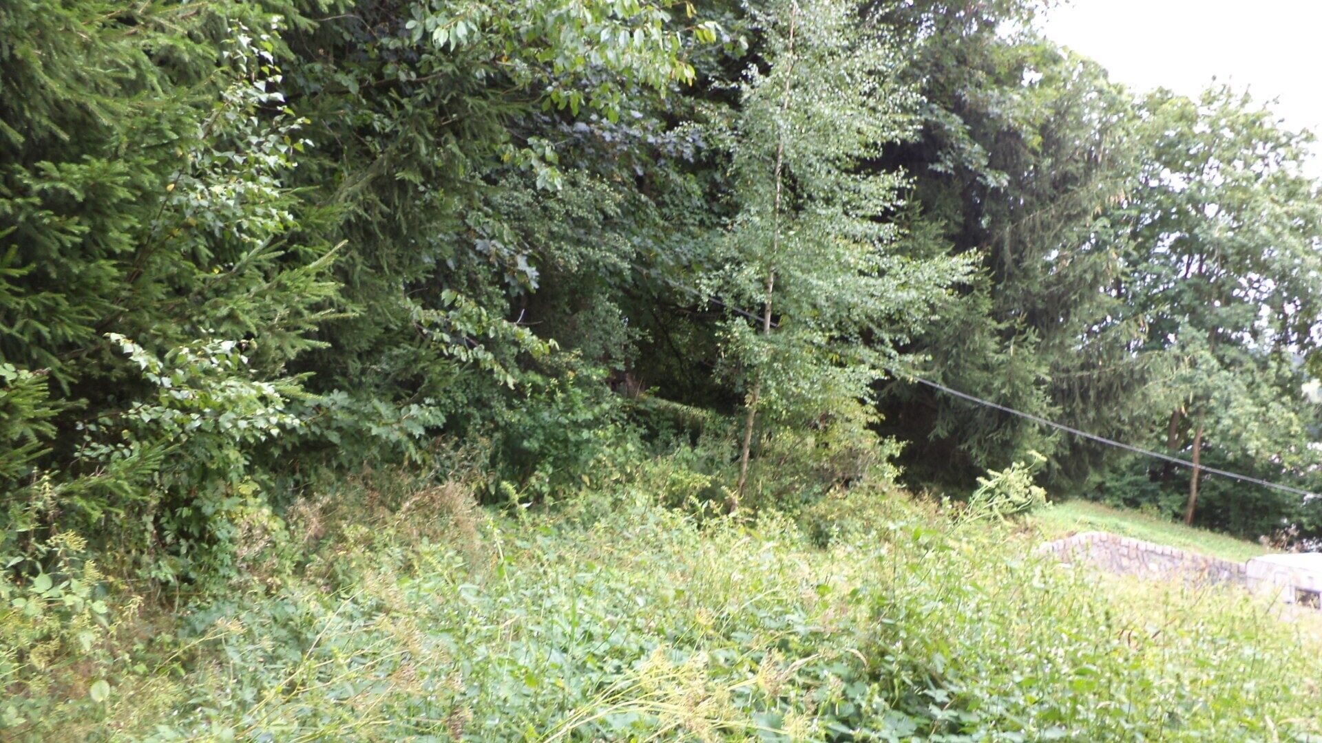 Pozemek pro bydlení · 947 m² · Svoboda nad Úpou - 3
