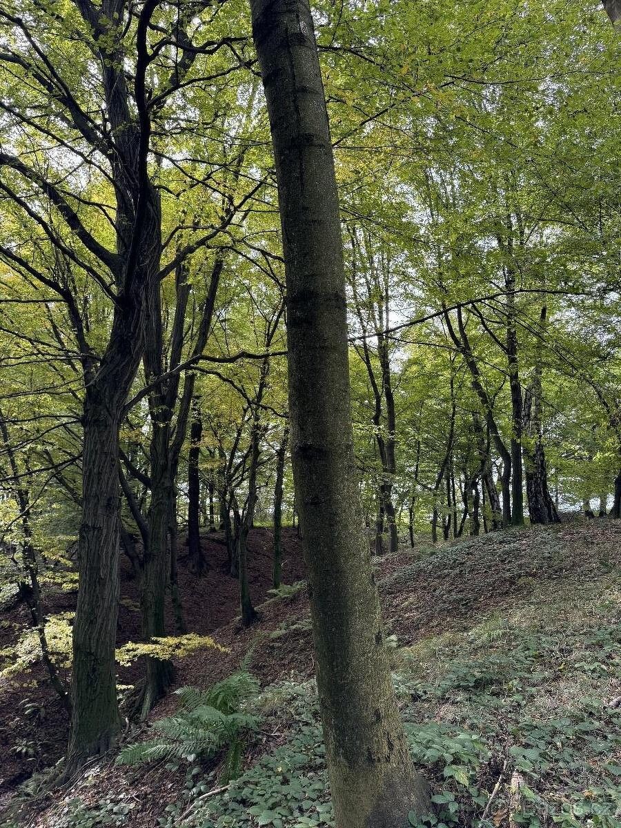 Pozemky pro bydlení, Bohumín, 735 81