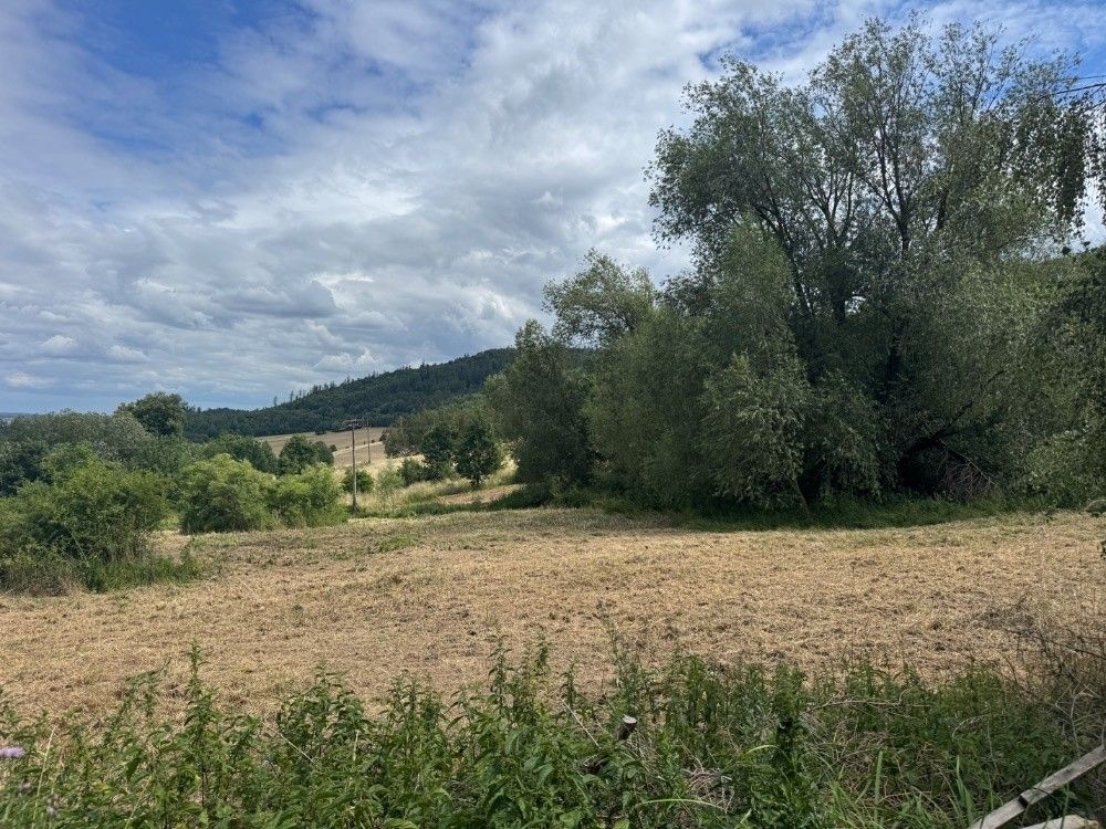 Pozemek pro bydlení · Město Albrechtice, 793 95 - 3