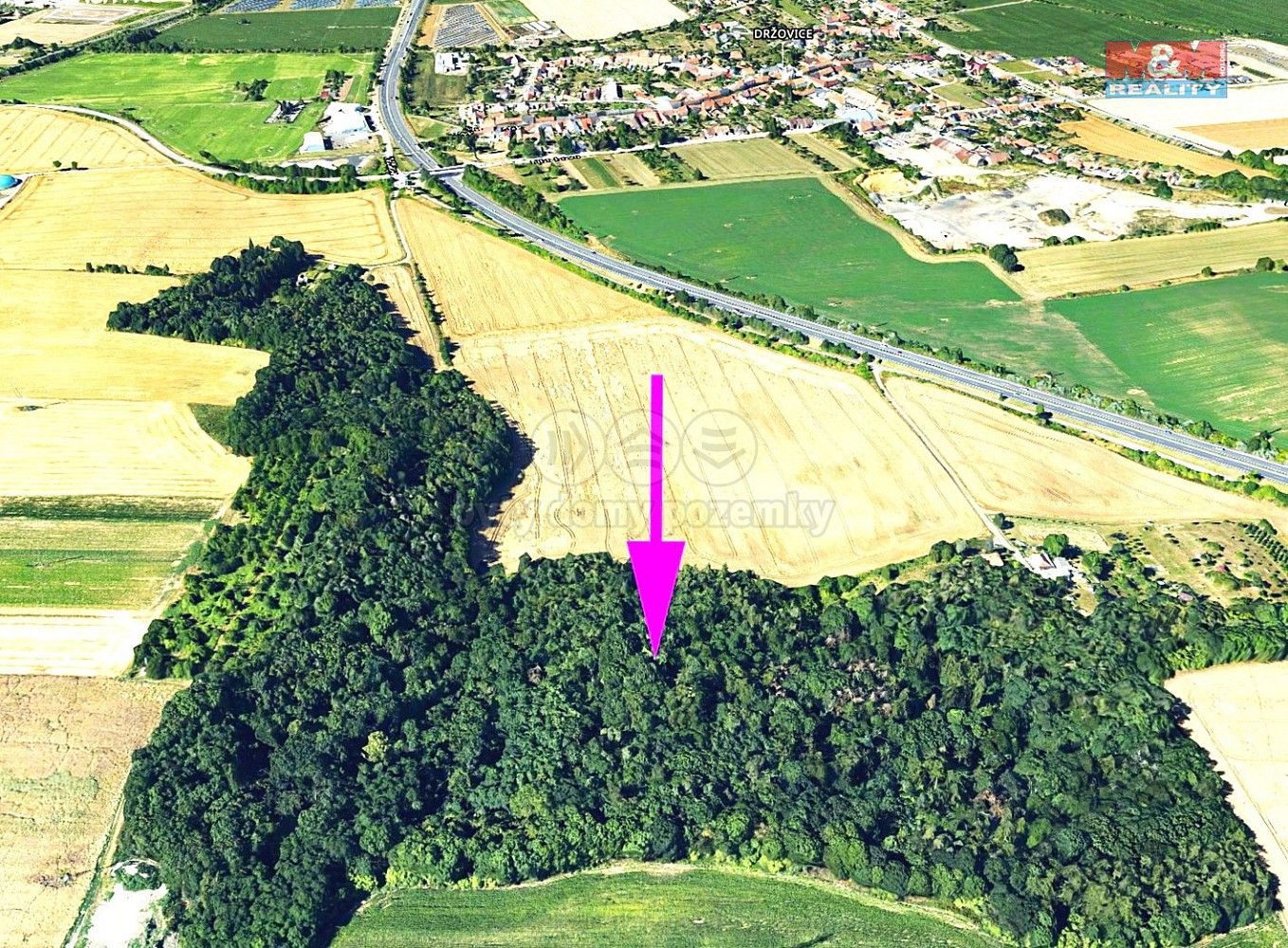 Lesy, Držovice, okres Prostějov, Olomoucký kraj - 1