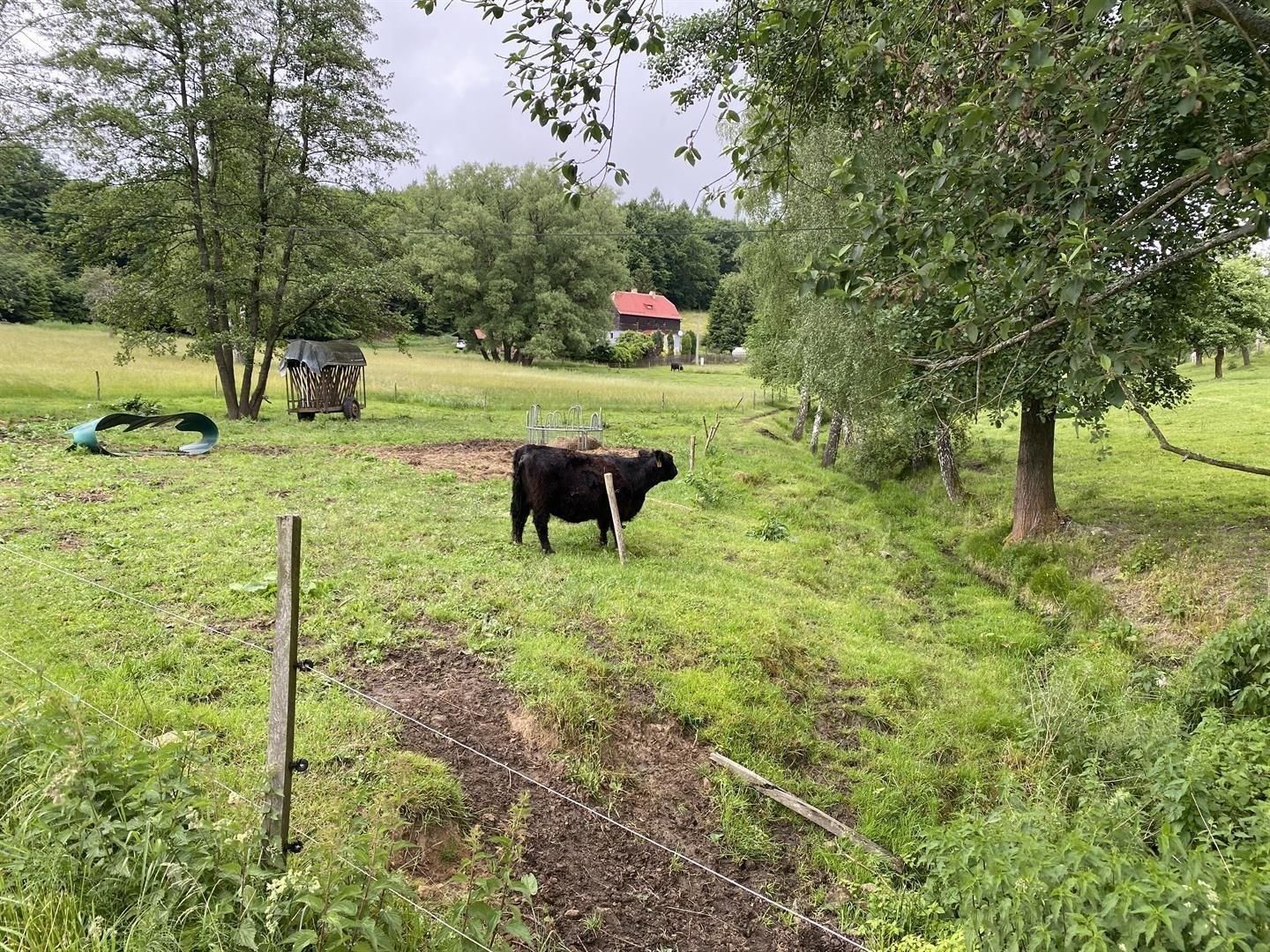 Louka · Děčín - 4