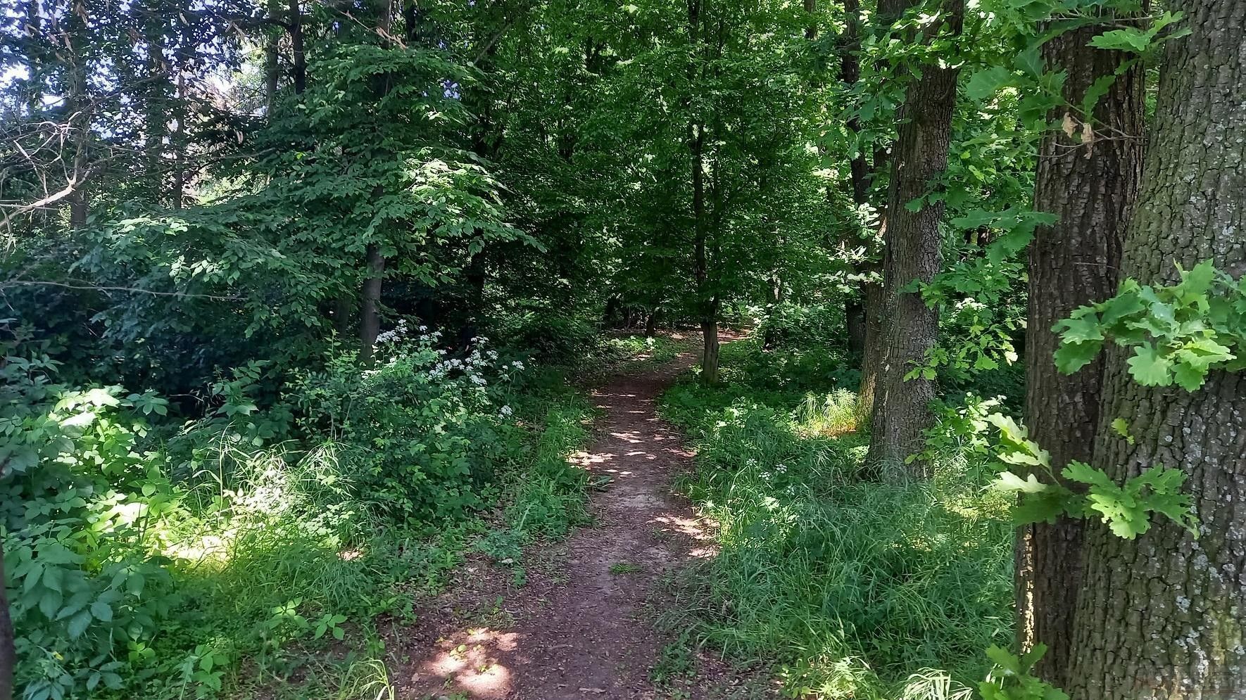 Prodej zemědělský pozemek - Říčanská, Čestlice, 678 m² - 5