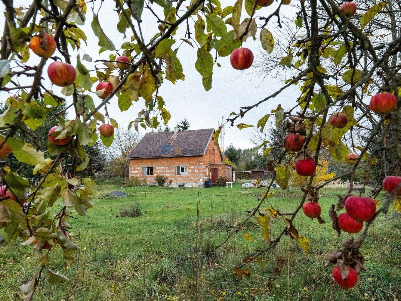 Prodej rodinný dům - Soběšín - Otryby, okres Kutná Hora, 90 m² - 5