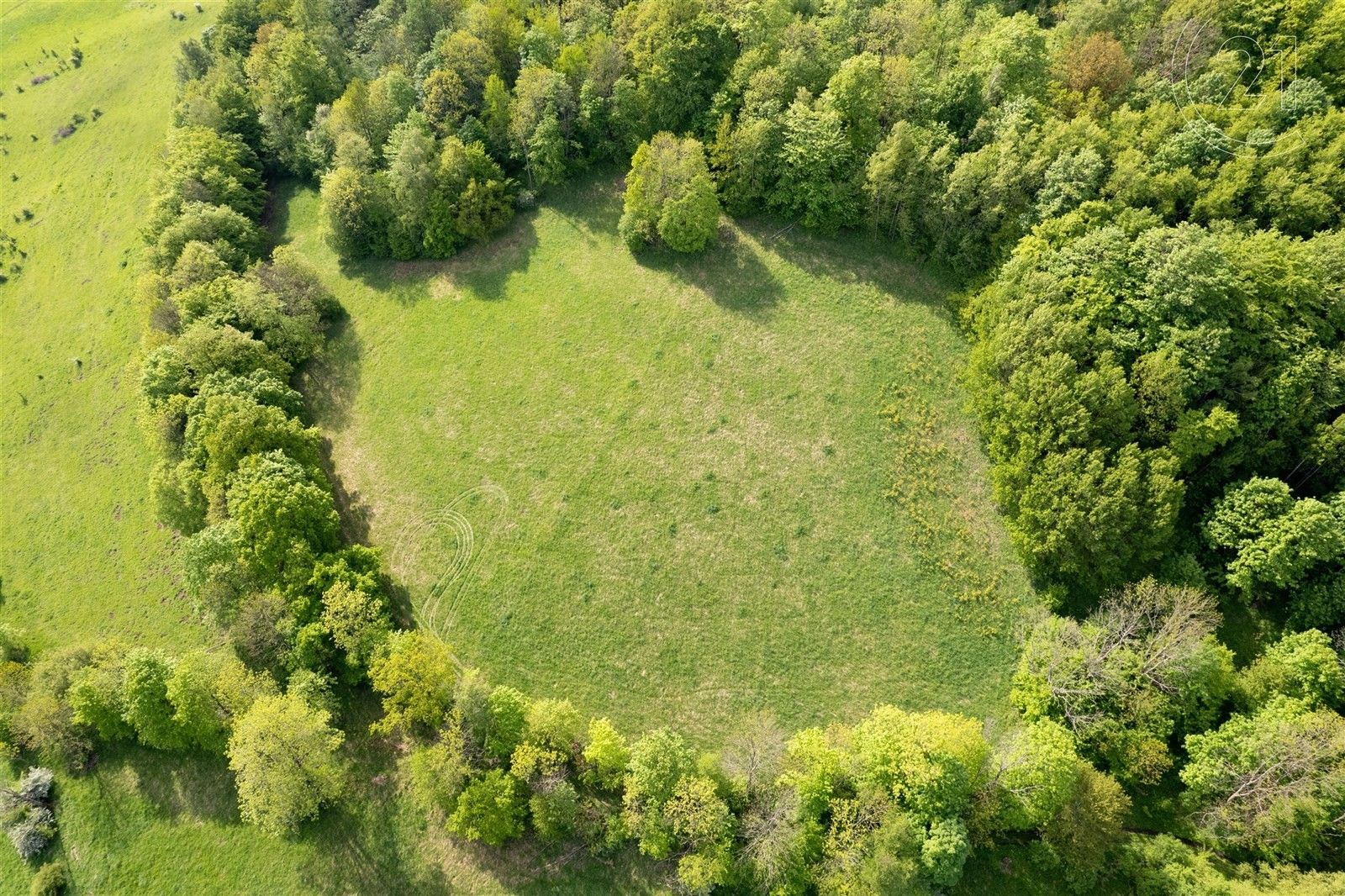 Prodej louka - XXXIV-Chlum, Děčín