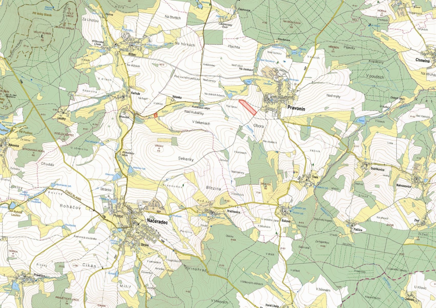 Prodej zemědělský pozemek - Pravonín - 2