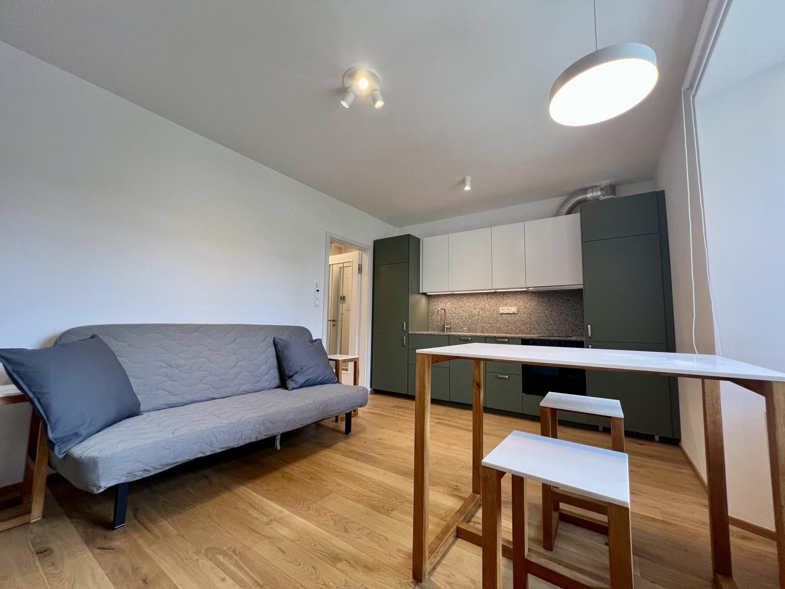 Pronájem byt 1+kk - Vrtbova,Praha 4, Nusle, 27 m² - 5