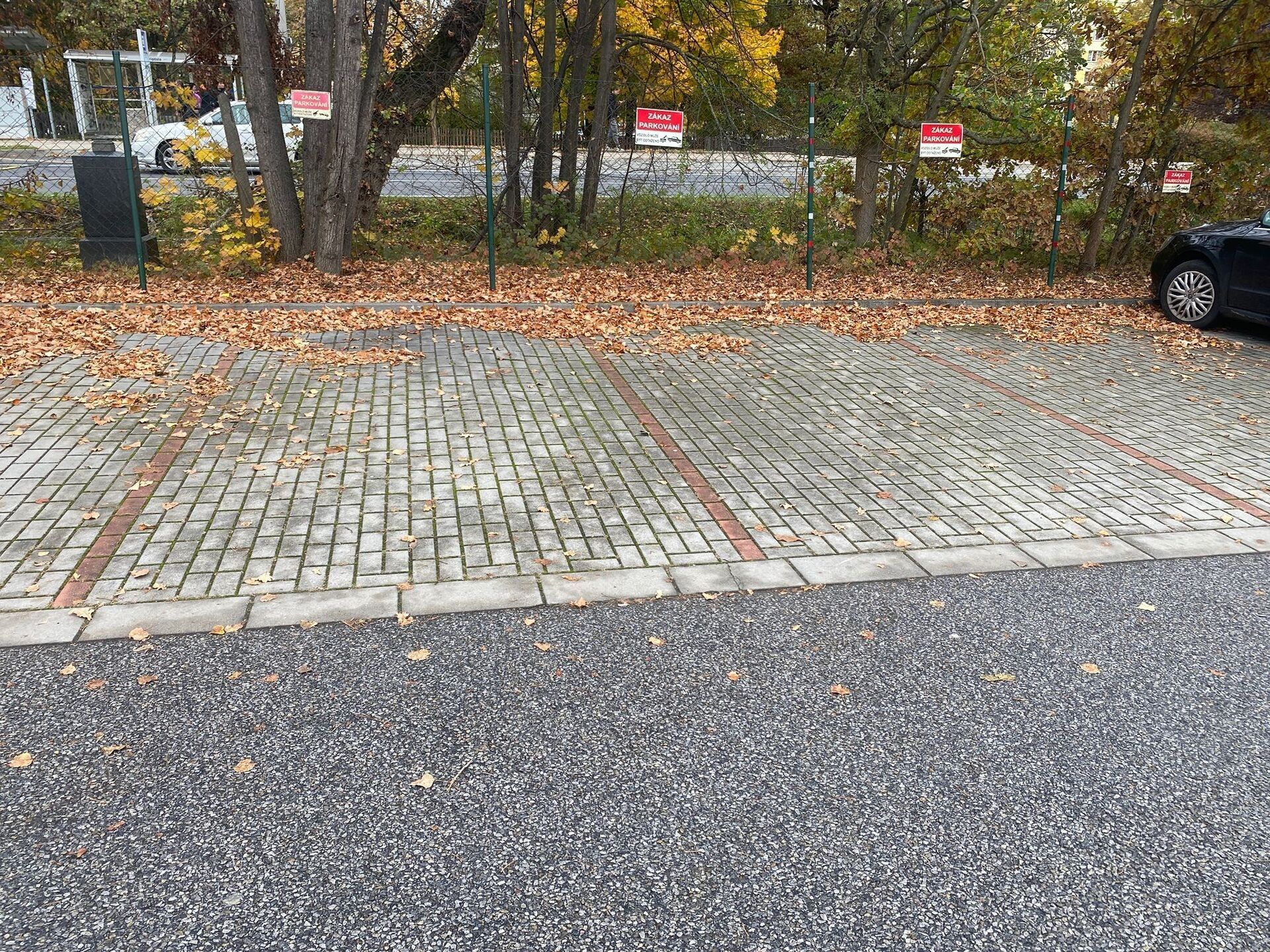 Ostatní, Husova tř., České Budějovice, 12 m²