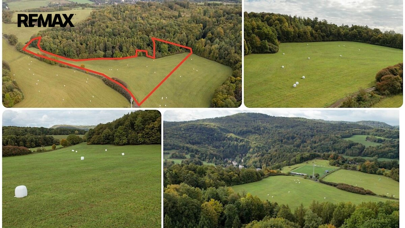 Zemědělský pozemek · 28 000 m² · Františkov nad Ploučnicí - 3