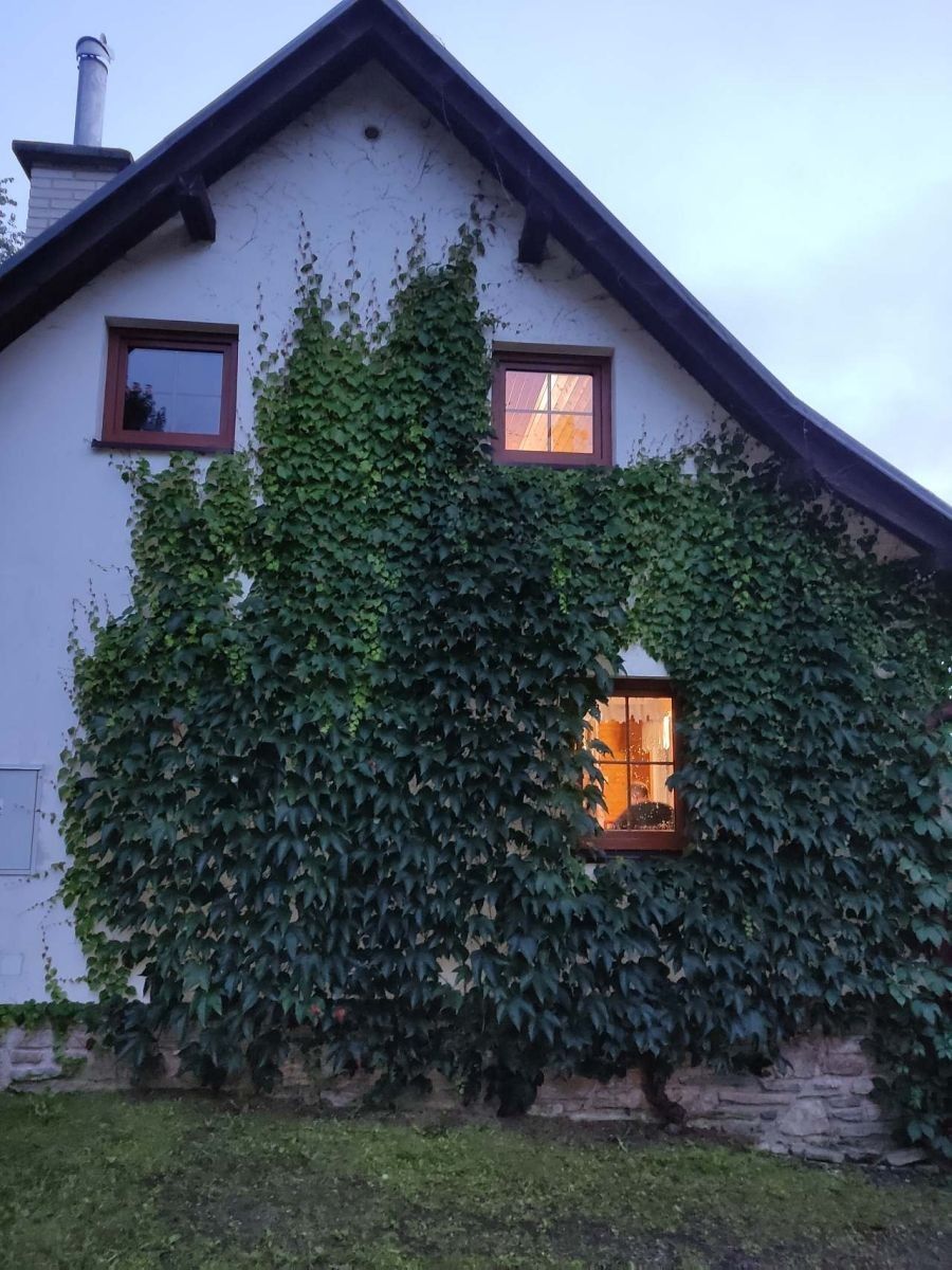 Chata · Loučná nad Desnou - Rejhotice, Olomoucký kraj - 3