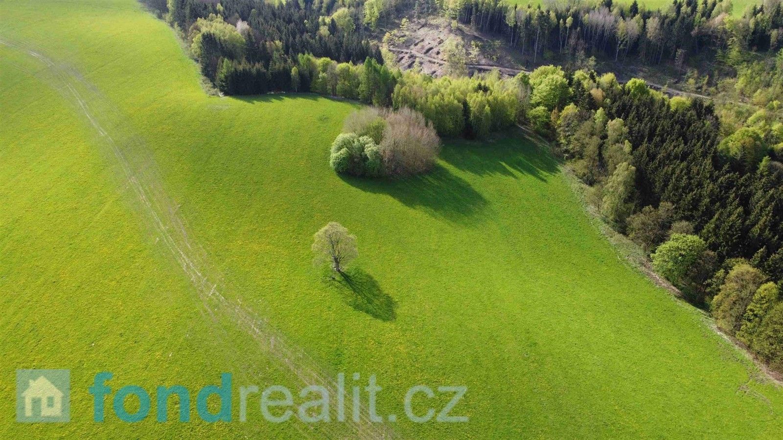 Zemědělské pozemky, Hanušovice, 15 879 m²