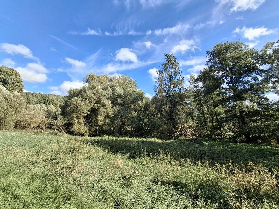 Pozemky pro bydlení, Těšov, Milíkov