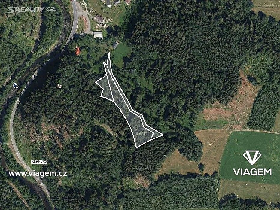 Prodej les - Poniklá, okres Semily, Liberecký kraj - 2