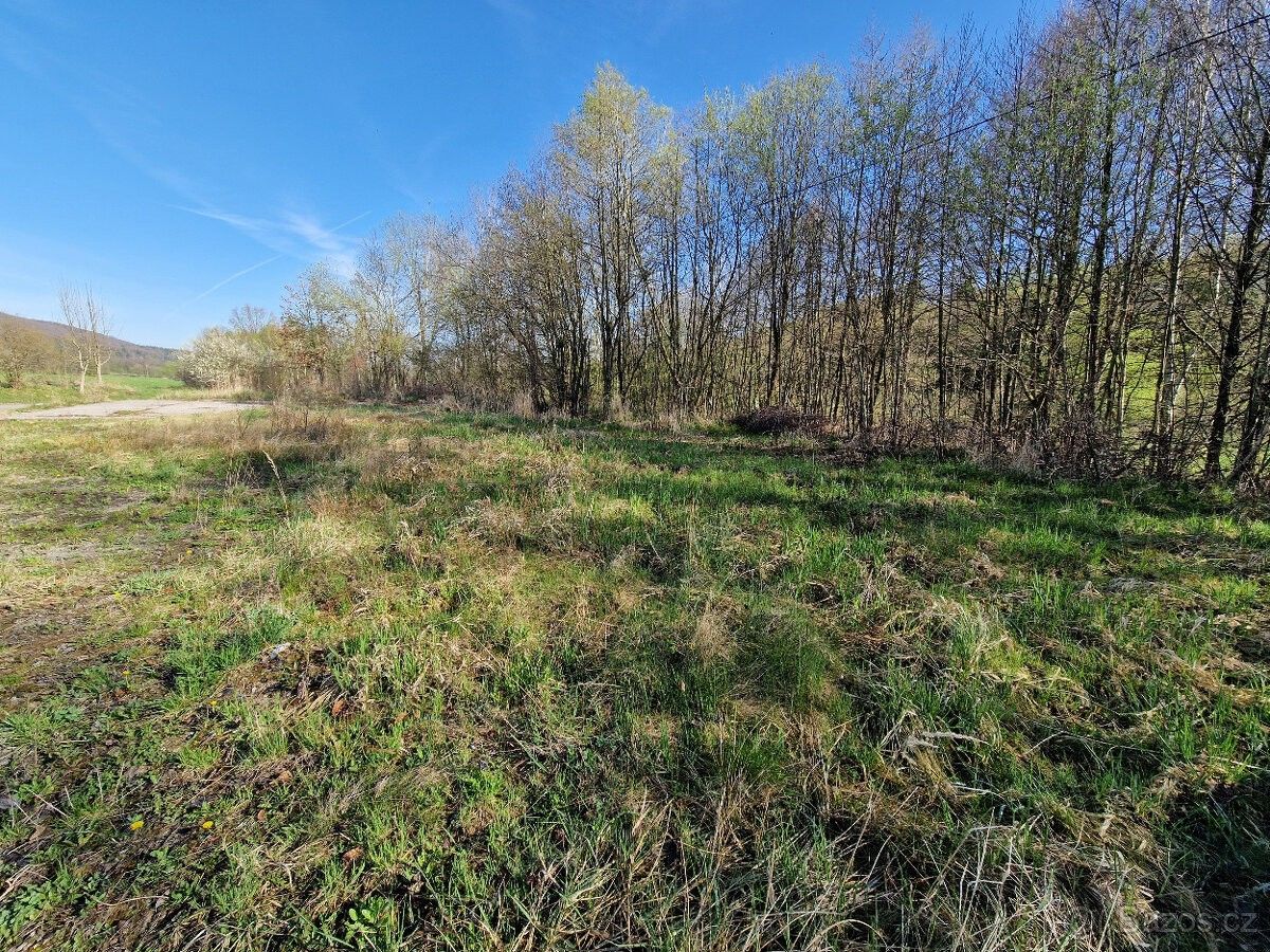 Pozemky pro bydlení, Seč, 538 07