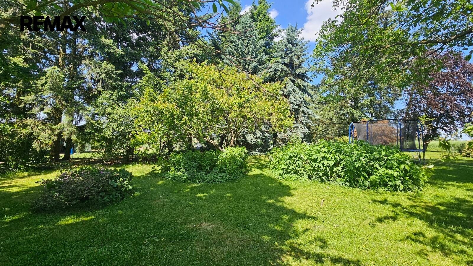 Pozemek pro bydlení · 1 391 m² · Oleška - 3