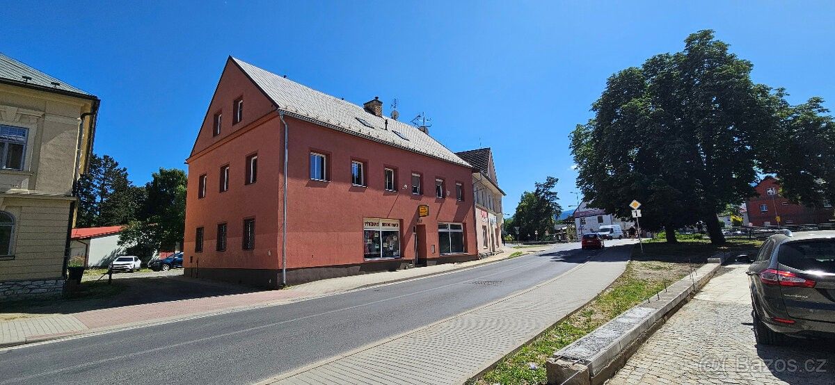 Obchodní prostory, Jeseník, 790 01