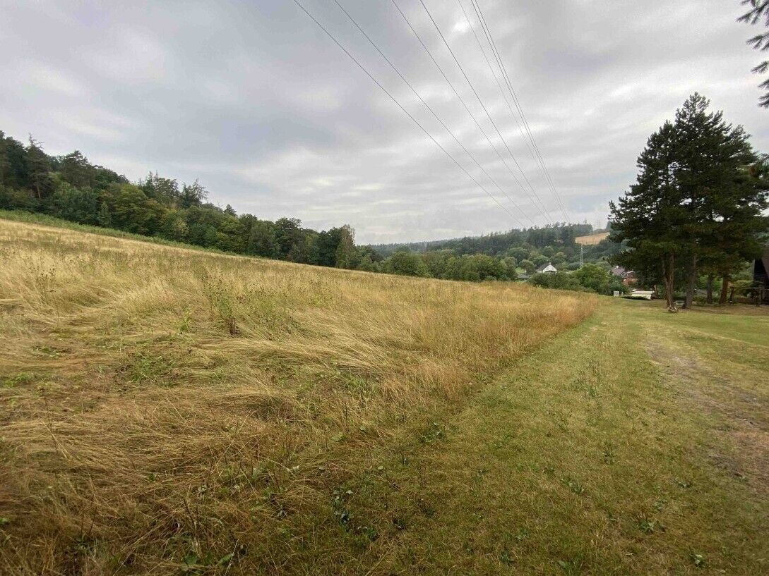 Louky, Brumovice Úblo, 1 160 m² - 1