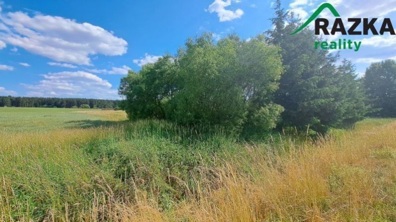 Zahrada · 393 m² · Kumpolec, Tisová - 4