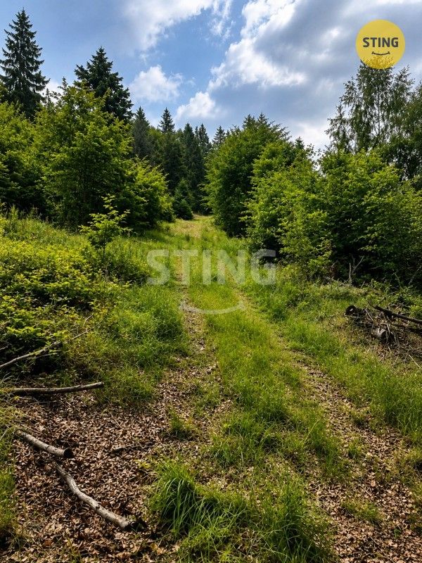 Louky, Košařiska, 6 262 m² - 2