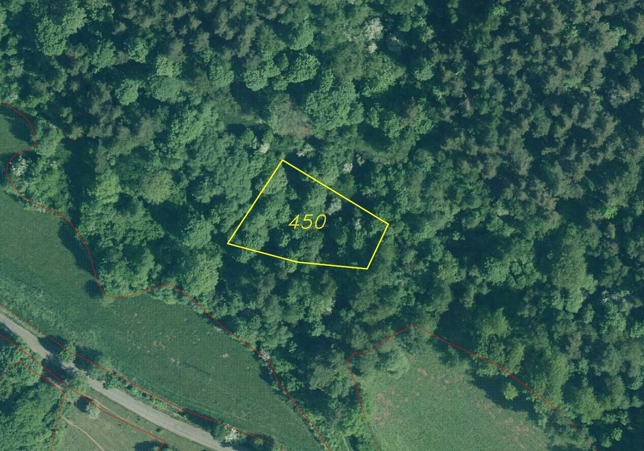Prodej pozemek - Rejštejn, 4 999 m² - 5