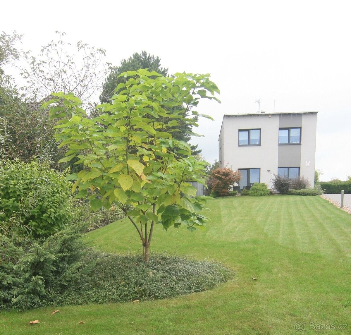 Rodinné domy, Karviná, 734 01